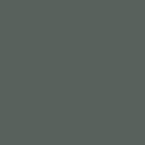 Olive (S)