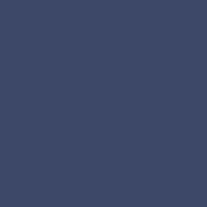 Navy (L)