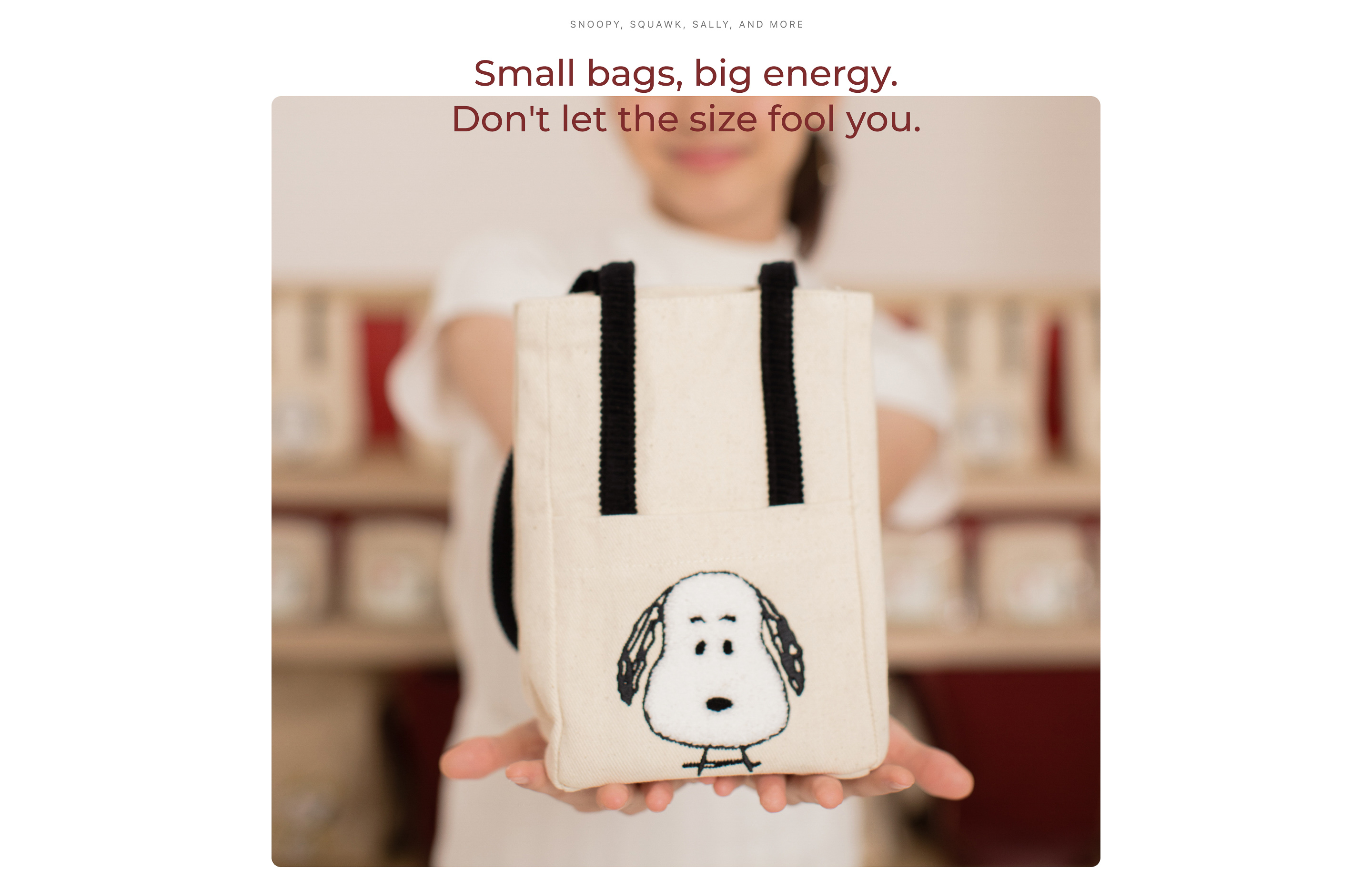 HIBI x Peanuts™ Image